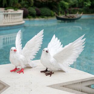 ���ӷ��g�b���Ʒ�b�Ʒ�[����ˇƷ����ģ����ë������������