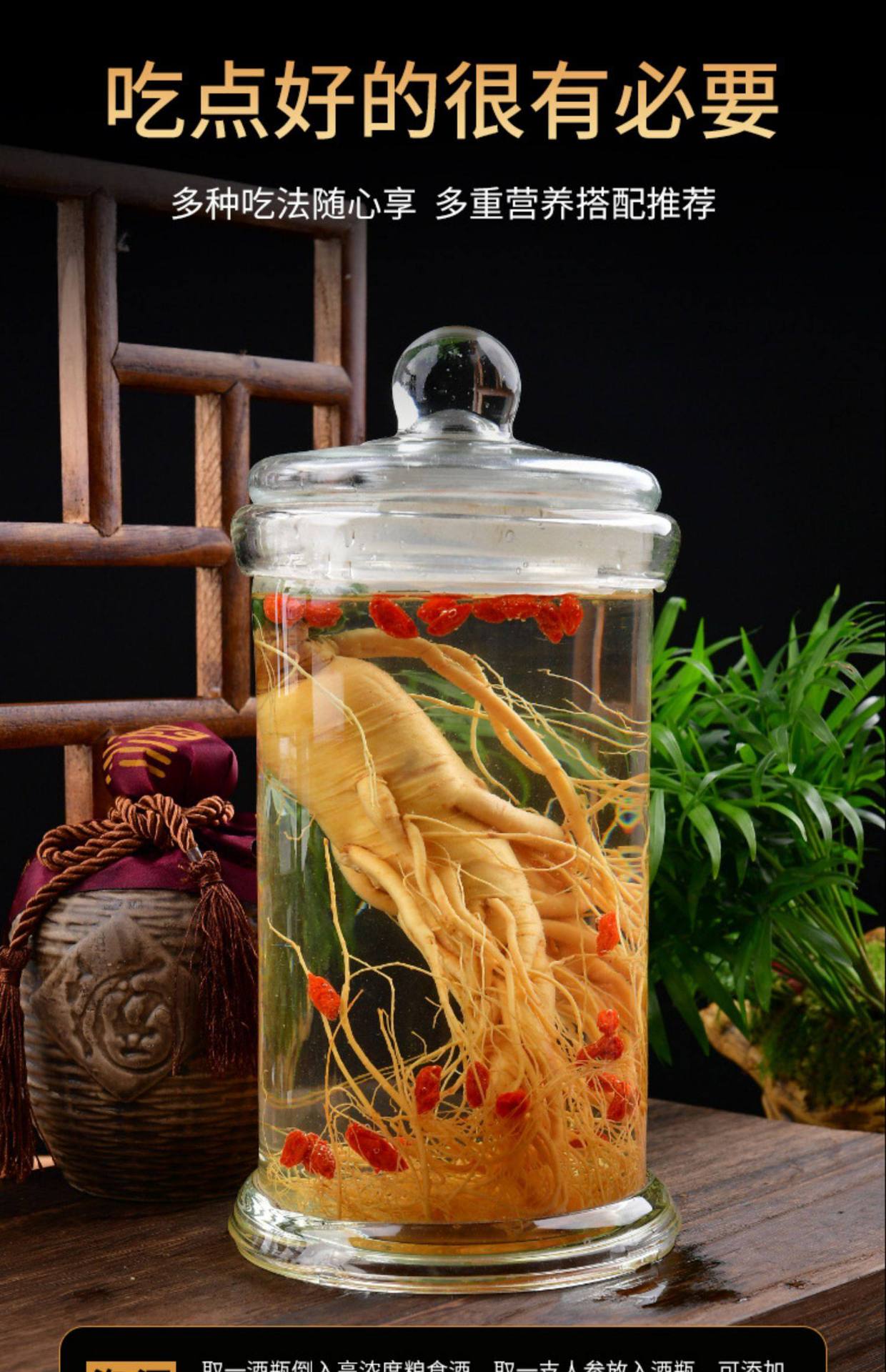 Fresh Ginseng Root Extra Large Single Piece Changbai Mountain Ren Shen for Wine Infusion and Cooking in use