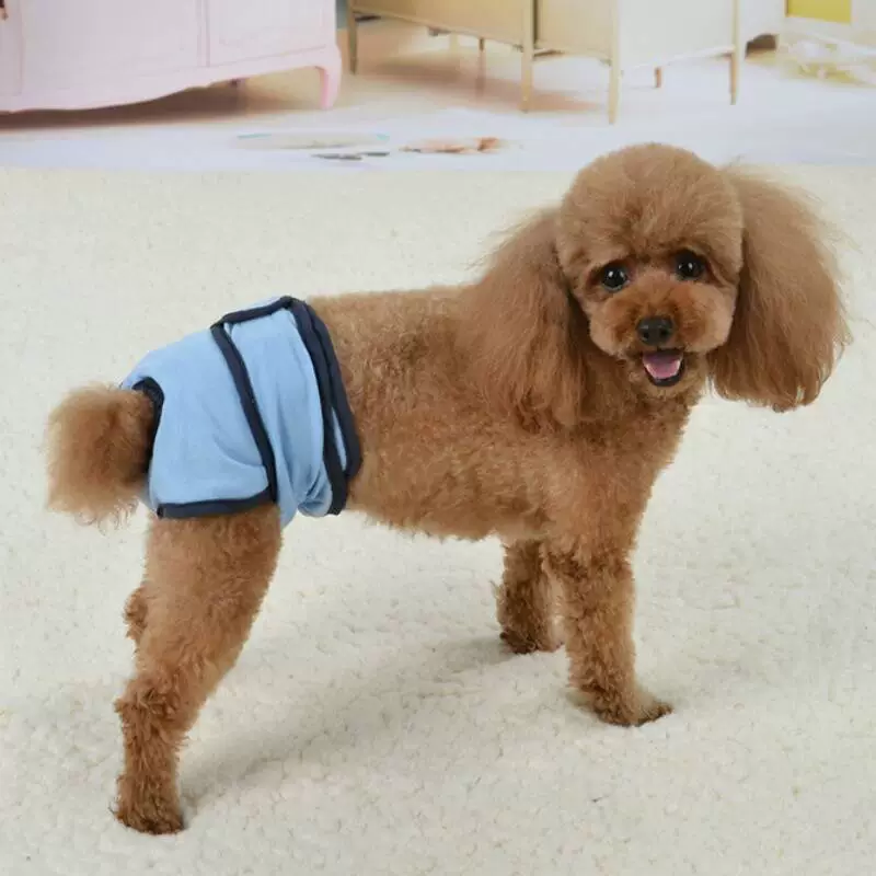 Новые физиологические штаны на липучке для собак, гигиенические штаны для больших собак, защитные штаны Тедди, защитные штаны для домашних животных, гигиенические штаны для домашних животных