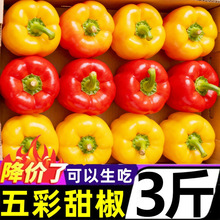 ɽ�|��������r3��Fժˮ�����߲�������ʟ��\�tС�׽��A��