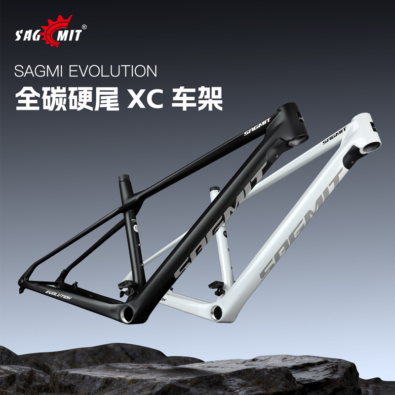 Sagmit Full Carbon Fiber Xc Frame 29inch Internal Cable Routing Professional Hardtail Competition Mountain Lightweight Frame