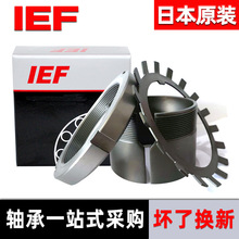 �ձ�IEF�i�� �o����H304 H305 H306 H307 H308 H309 �Ϻ��l؛