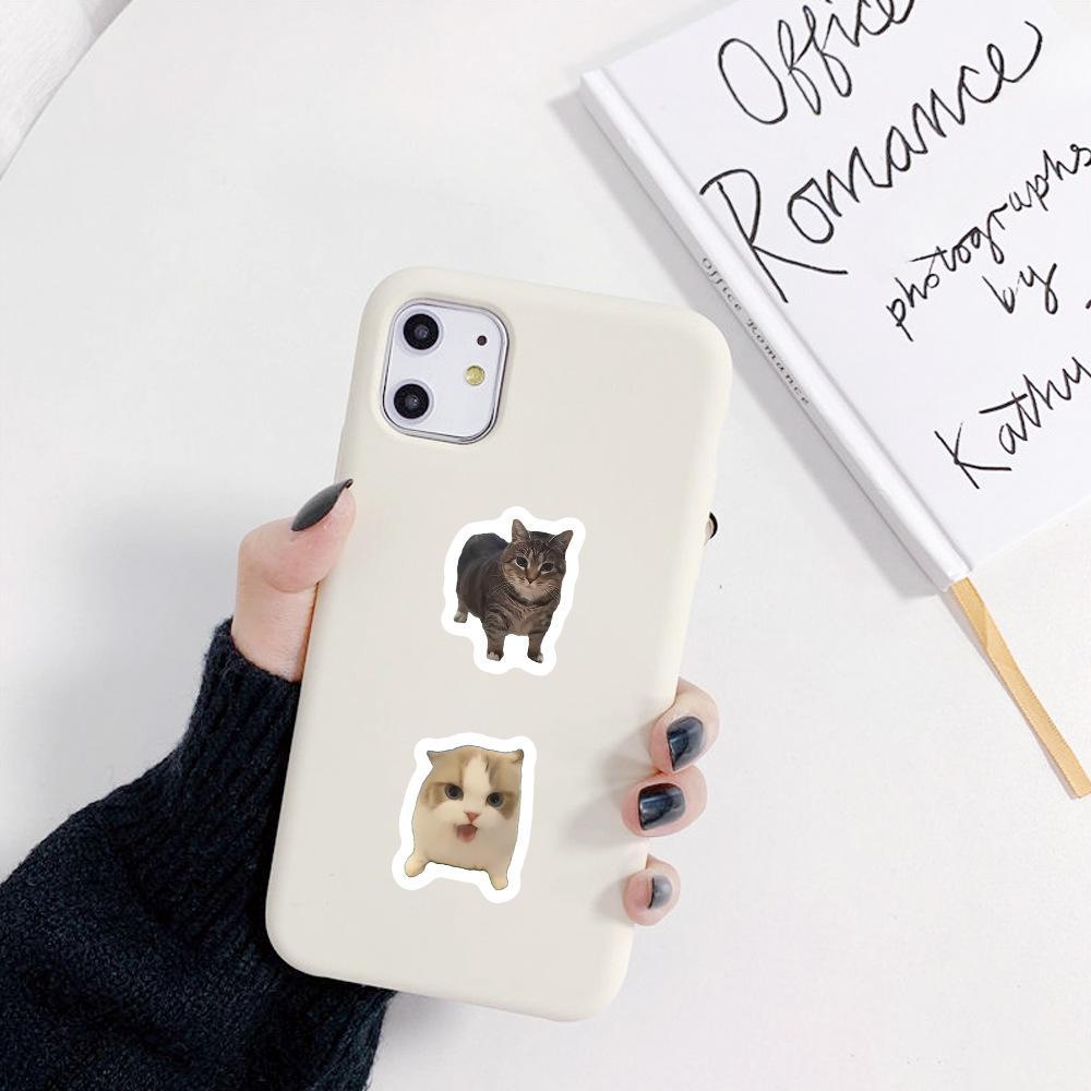 Internet gato meme pegatinas pegatinas 500 pegatinas de fuego extraño gato gato material conta de mano caja de teléfono móvil DIY cinta de película de corte