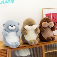 �նպ���ϵ�пɐۺ���ë�q��߹��к��������������˹���Ů�ѶY��