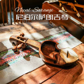 尼泊尔萨朗吉琴另类小提琴舞台演奏音乐沙龙民族Sarangi小众乐器