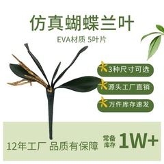现货批发家居酒店绿植摆件装饰墨绿色兰花叶子 EVA仿真蝴蝶兰叶子