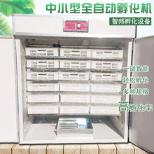 ��������N�������O���u���Z����Cȫ�Ԅӷ����C�����¿������