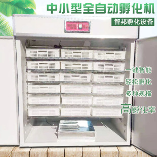 ��������N�������O���u���Z����Cȫ�Ԅӷ����C�����¿������