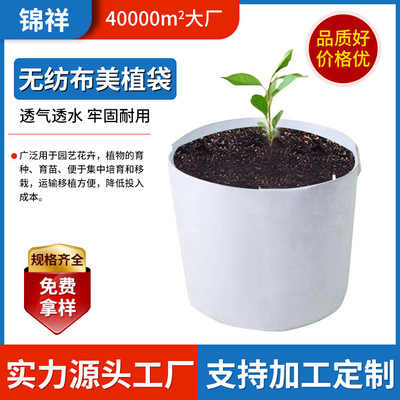 现货供应植物种植袋 无纺布室内外花草苗木栽培种植用美植袋