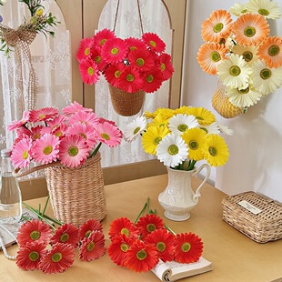 ���l���滨�羳PU���޾շ��ɻ�INS�L��c�S�ҼҾ��b羳����