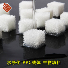 PPCdw z Hˮd ۰ˮ^VdSֱN