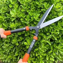 ̨���n����2012/2013�@ˇ��֦����h/����/��@/�G������֦����