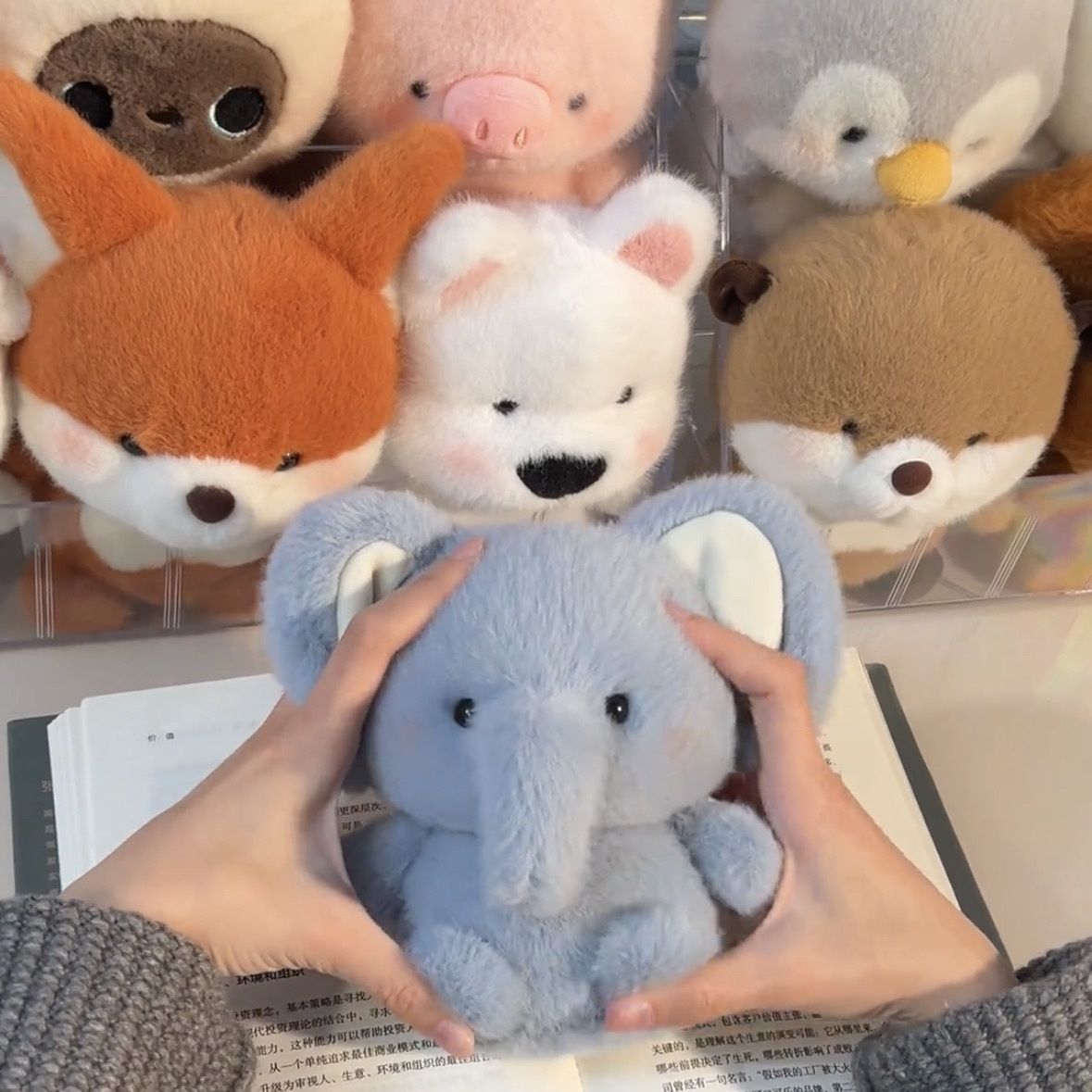 Animal, Cartoon Pattern Children Unisex Adults Animal Cartoon Plush Stuffed Animals & Plush Toys