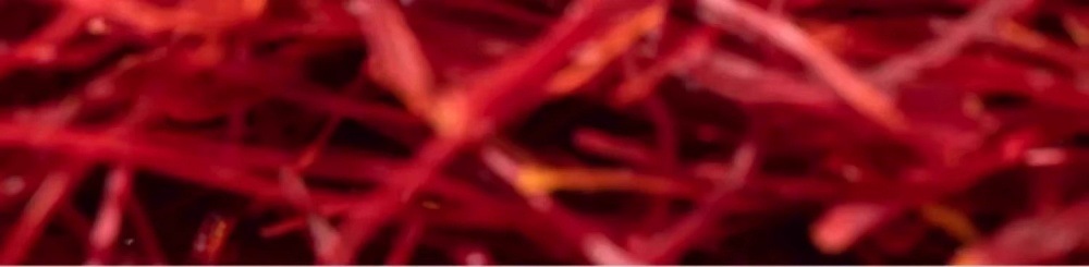 Saffron Threads Zang Hong Hua Premium Crocus Stigmas Traditional Herbal Tea 5g Gift Box in use