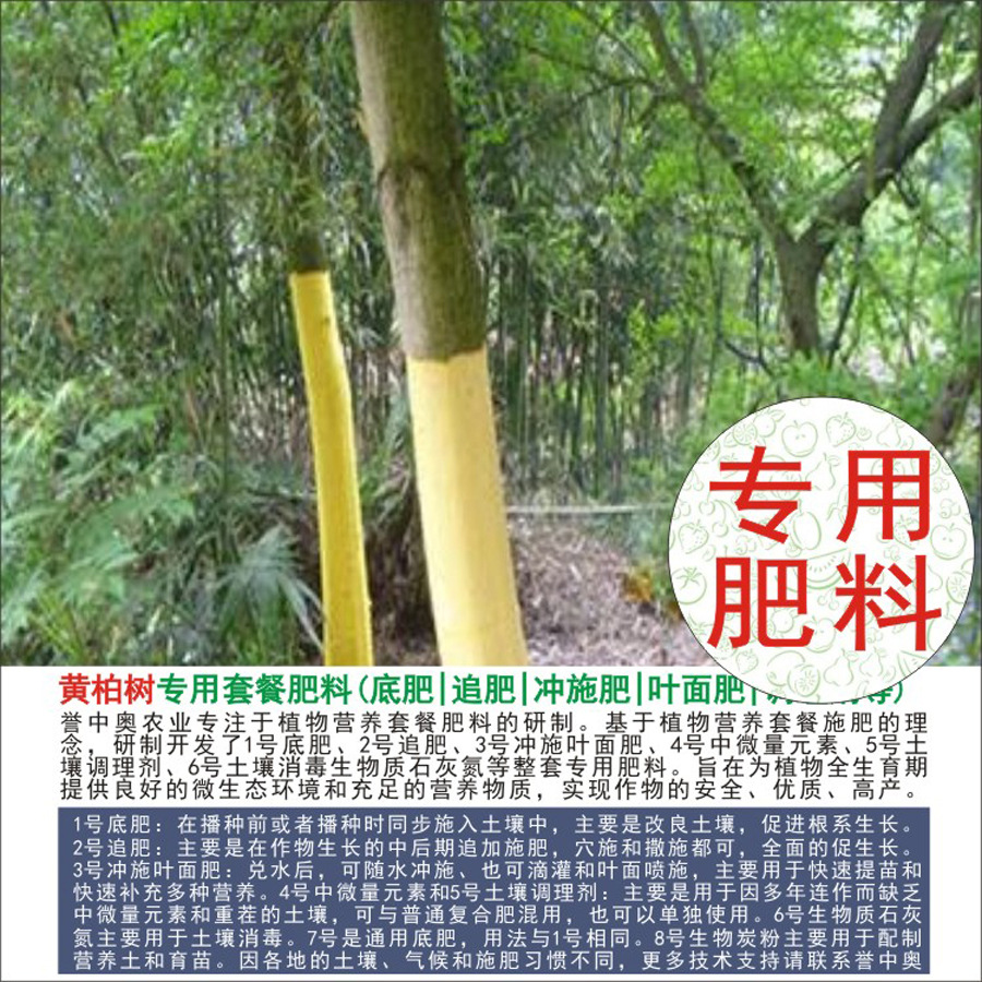 50�����а»ư���ר���л��ʸ��Ϸʵ׷�׷��Ҷ��ʳ�ʩ��ˮ�ܷ�