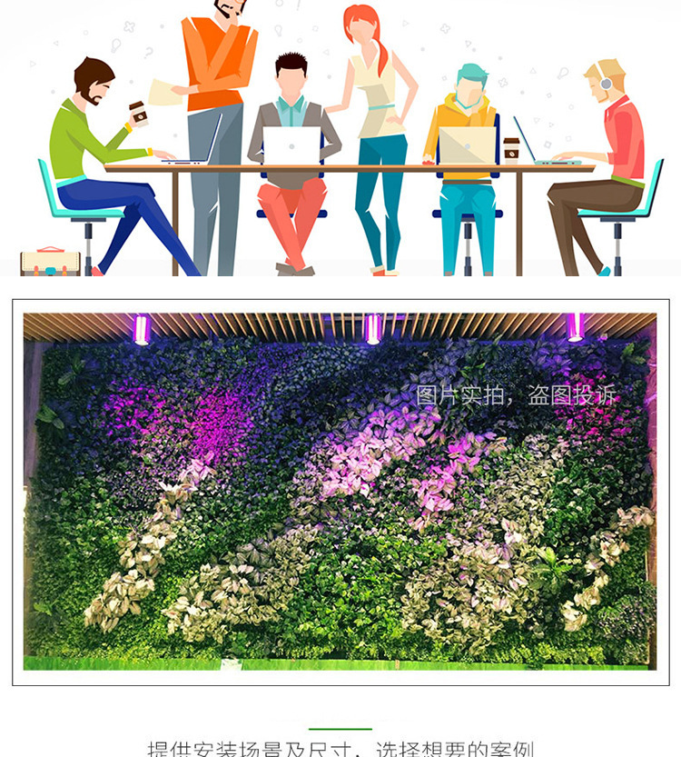 植物墙01详情_05.jpg