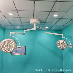 Led High-Grade Sub-Mother Double Head Shadowless Lamp Plastic Surgery Oral Cavity Ceiling Type Shadowless Lamp
