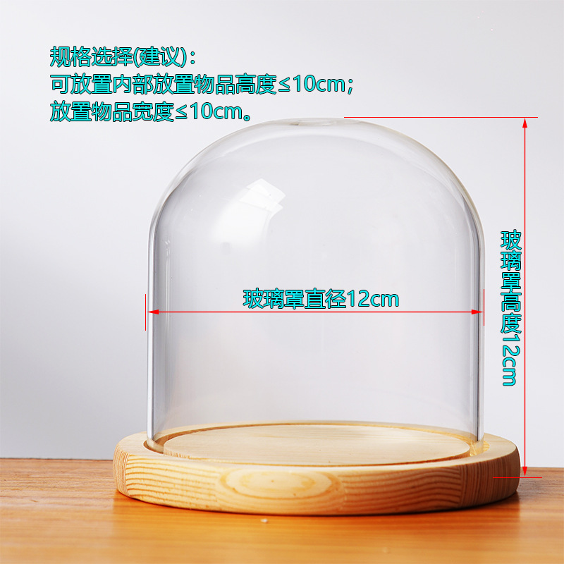 Cubierta cilíndrica de vidrio transparente sin lámpara de madera de estilo inmortal cubierta de polvo de flores hecha a mano decoración creativa de escritorio de bloques