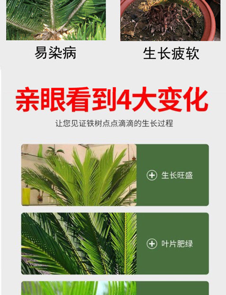 d335f435-9204-4543-bbce-40bf6c997699.jpe