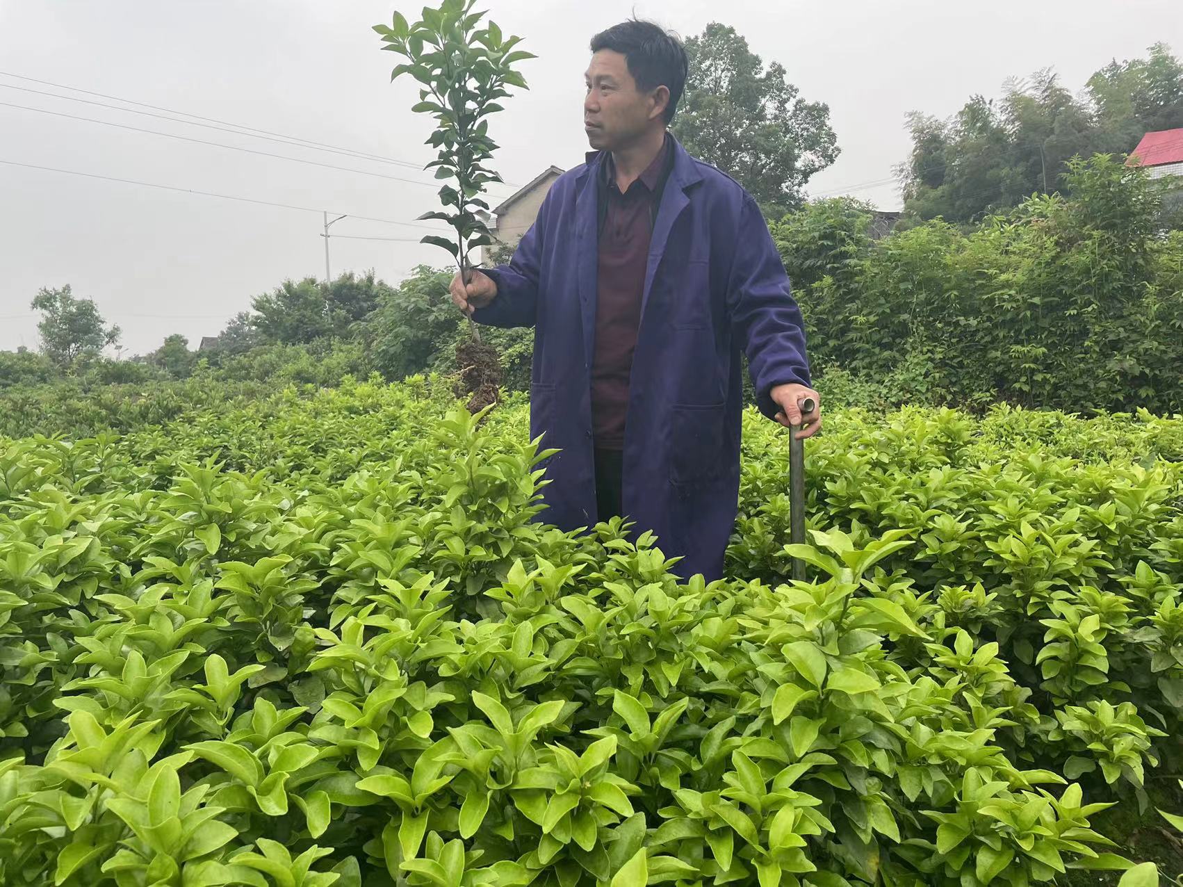 b232bde966e85ea307567ab2f9420d