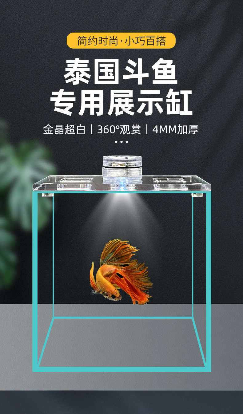 斗鱼缸_01