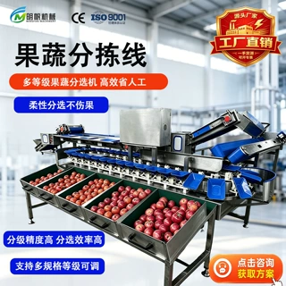 西红柿地瓜重量分选机土豆鸡蛋自动分级设备苹果清洗称重分选包装
