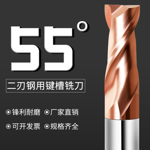 55-degree 2-edged tungsten carbide cemented carbide end mill with straight shank, CNC coated flat keyway small-diameter vertical end mill