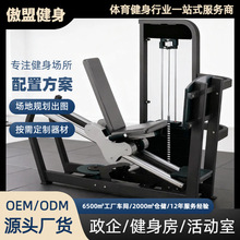 转体训练器 坐式蹬腿 坐姿腹肌 高拉训练器 坐式划船拉背训练器