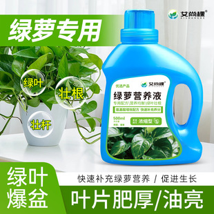 Aishangke Green Radish Leaf Concentrated Special Nutrient Solution for Home Flower Cultivation, Suitable for Soil and Hydroponic Balcony Small Potted Plants