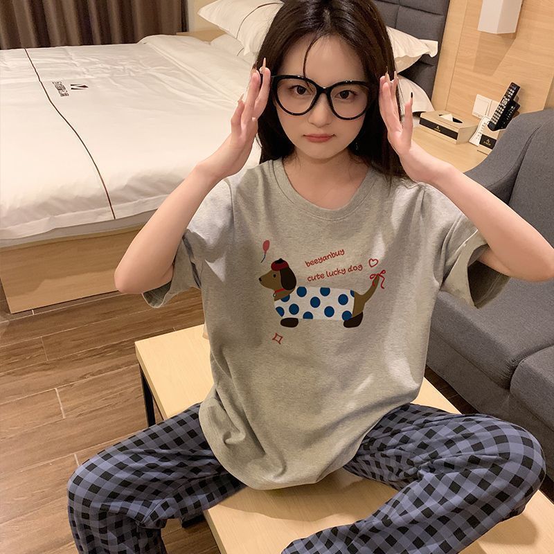 짧은 길이 회색 강아지
