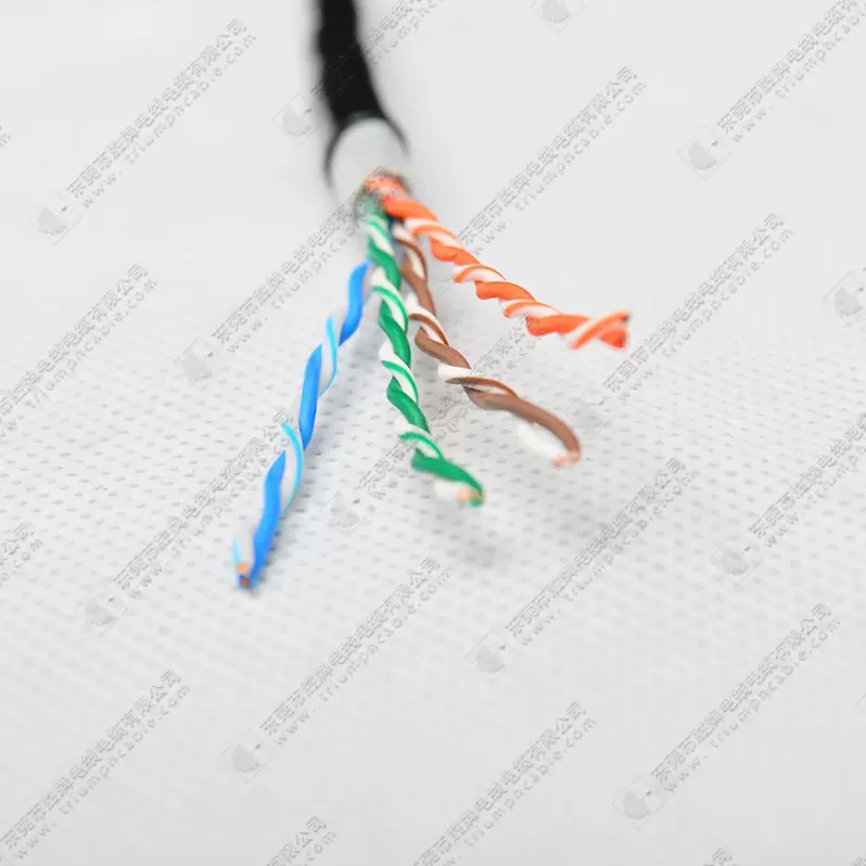 胜牌电线 4对双绞非屏蔽网线 CAT5E网线 电脑监控网络连接线