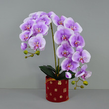 ��������m��ֻ9�^ë�������m�������Ի�c���������bҾӔ[��