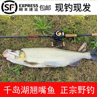 ʮ���10��ǧ�u��Ұ����r�N���~���r���~�F����׵����~���N���N