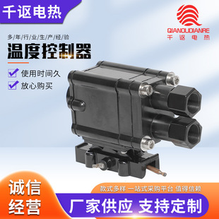 Thermostat Bjw Solar Water Pipe Temperature Controller Electric Heating Belt 16A220V Electric Heating Belt Accessories