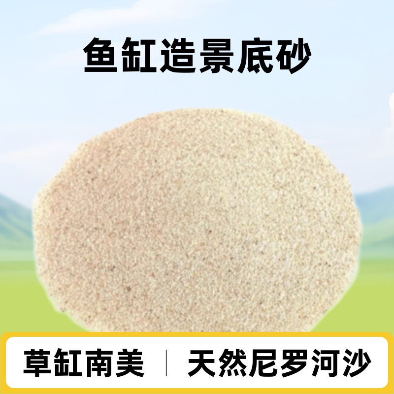 尼罗河沙草缸南美鱼缸造景石头底沙黄色细沙天然水草化妆沙鼠鱼