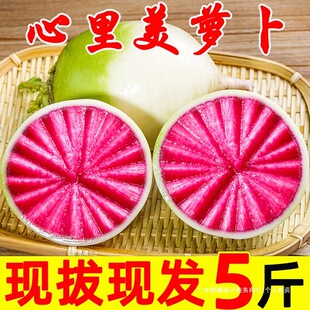 ������ˮ���}�����ˮ���͞H���H�h���r��������5��GƤ�t���}��