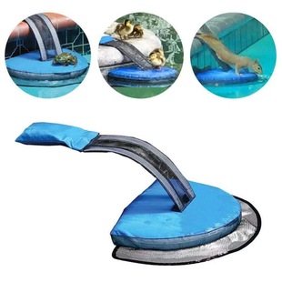 ����Ӿ������ͨ��Swimline FrogLog Critter�����µ�������������