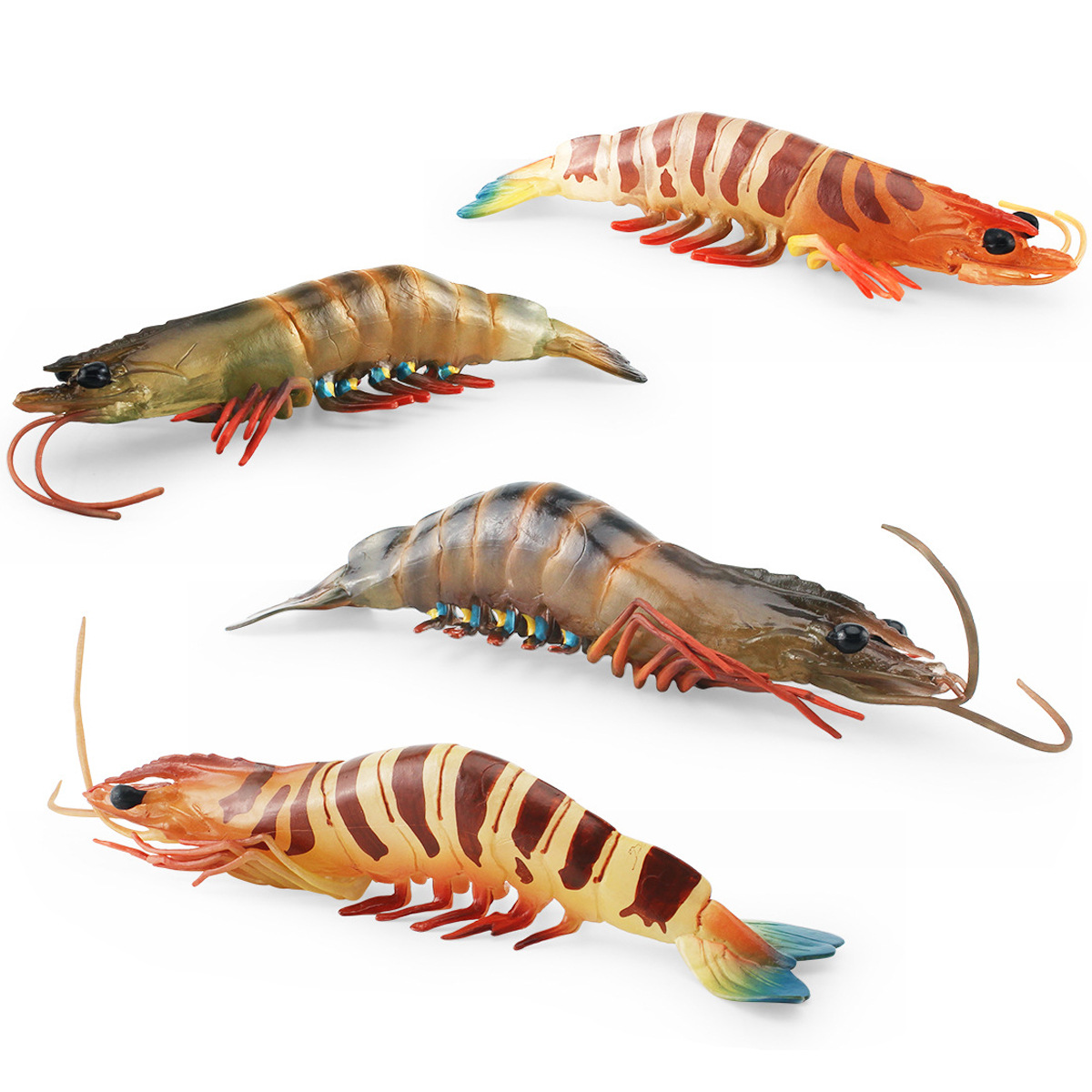 Simulación transfronteriza modelo biológico marino cognición infantil Penaeus monodon acuático camarón tigre submarino animal adornos estáticos