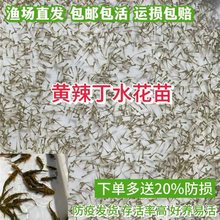 �S����ˮ���~�� �S���~�S���а����~�S��~�絭ˮ�Bֳ�SѾ�^�~