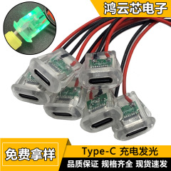 Type-C メスシングルヘッド電源延長ケーブル C ポート小型家電 DIY 充電ライト付き 2 芯防水 USB 電源ポート