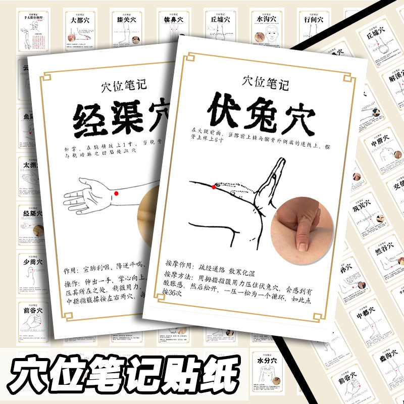 128 Acupoint Health Conditioning Chinese Medicine Stickers Human Body Knowledge Massage Learning Creative Stickers Diy Desktop Waterproof
