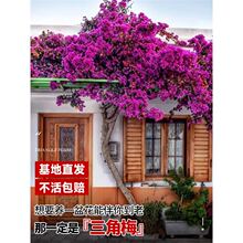 �ذ�����÷���Ի����ش�����ֲ������҃����̨ͥԺ���B�׻��