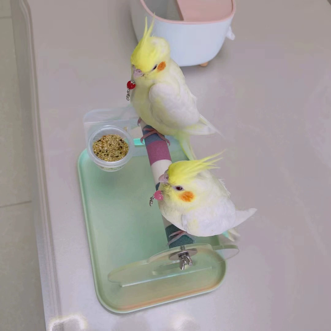 Красочная ручная подставка для попугая шлифовальная подставка для когтей Акриловая Xuanfeng Пион Подставка для кожи Полюс Тренировочная настольная подставка для птиц