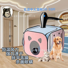 猫咪烘干箱跨境吹干宠物狗小型折叠毛机专用家用洗猫吹风机萌宠