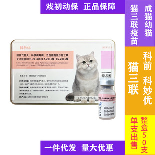 ���a؈����؈������؈��؈��؈�Դ�������A��؈��؈��֧؈����