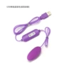 USB single jumping egg purple [aluminum foil bag installation]