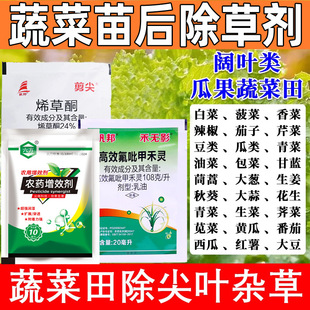 �߲������݄����ݠ�������һ�����̱����s���߲˳��݄�ͨ����Ʒ