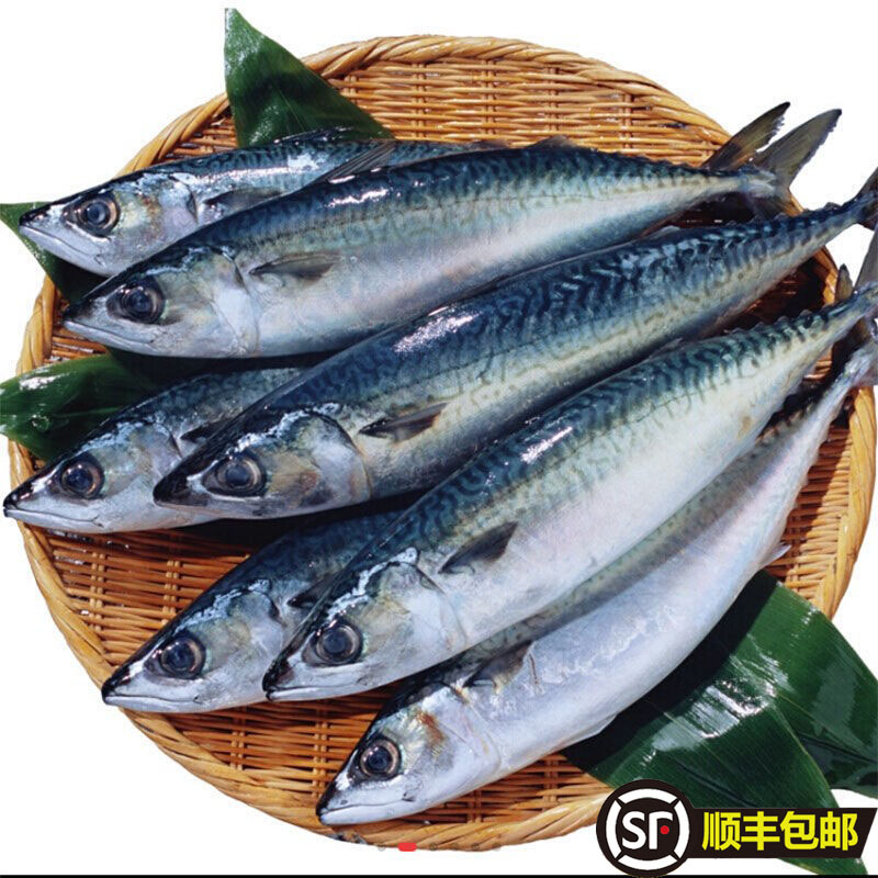 5斤包邮青占鱼新鲜青花鱼整条冻深海鱼青鱼冷冻日料