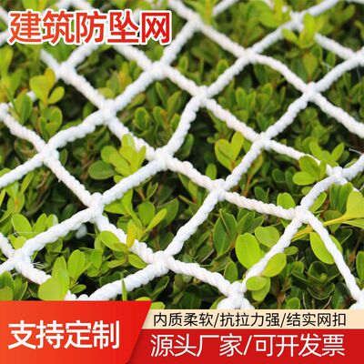 wholesale Safety Net construction site Anti-dropping network Architecture Nylon mesh Flame retardant Container white Nylon rope