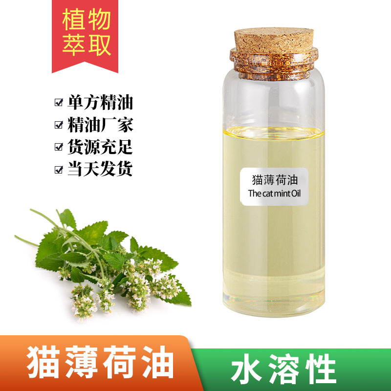 厂家水溶性猫薄荷精油单方香薰精油荆芥内酯猫薄荷油原料报送码